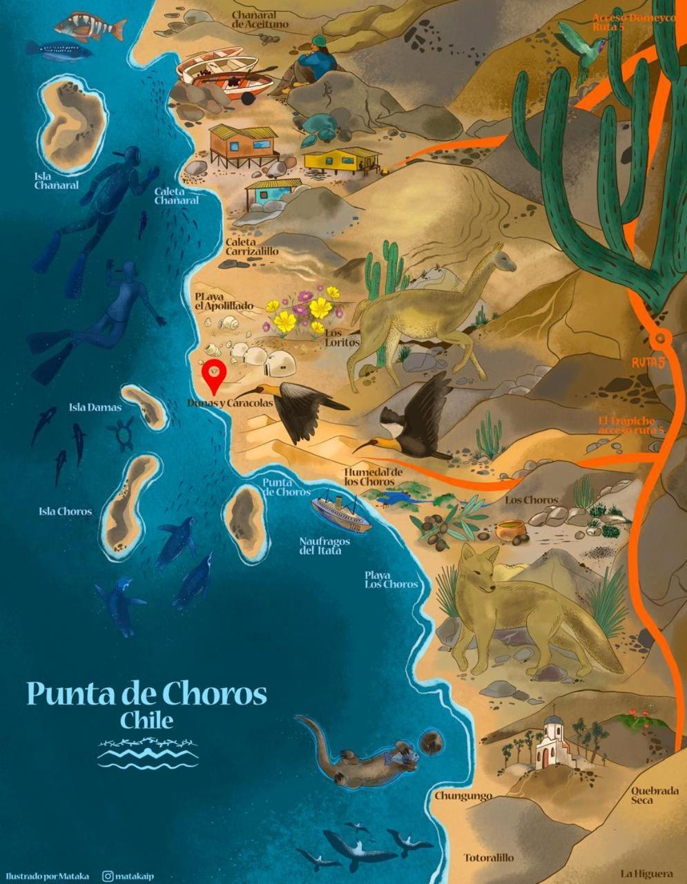 Entre Dunas Y Caracolas Punta de Choros Exterior foto